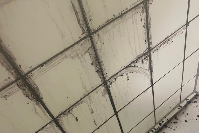 Schwarzer Schimmelbefall auf den Fliesenfugen einer Wand